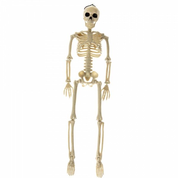 Декор на Хелловін Скелет 165 см Декор на Хелловін Скелет 165 см