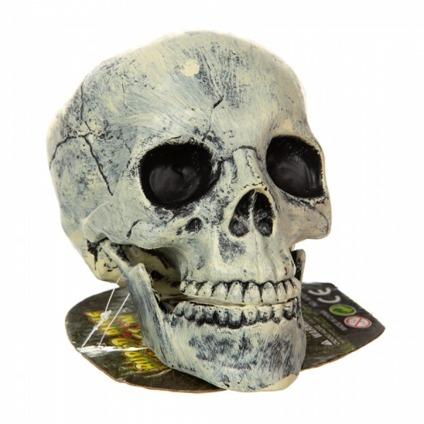 Садовий декор на Хелловін Череп Садовий декор на Хелловін Череп