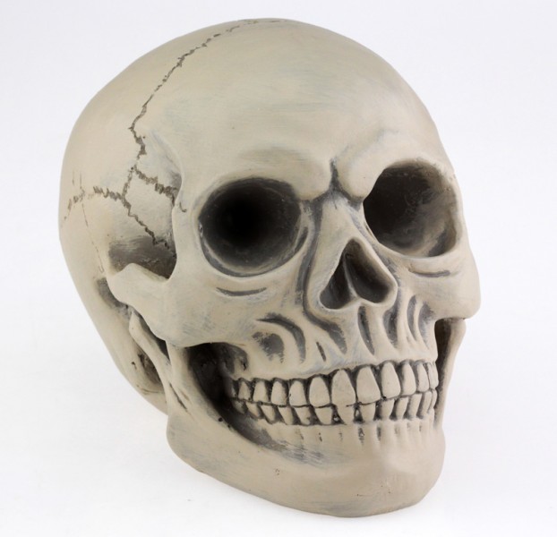 Череп копилка Череп копилка