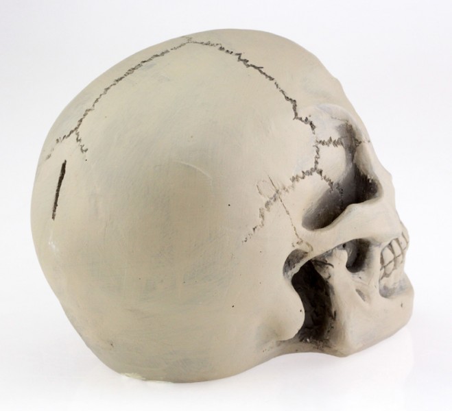 Череп - кераміка скарбничка Череп - кераміка скарбничка