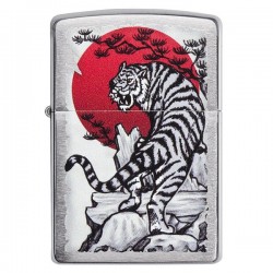  Zippo 29889  