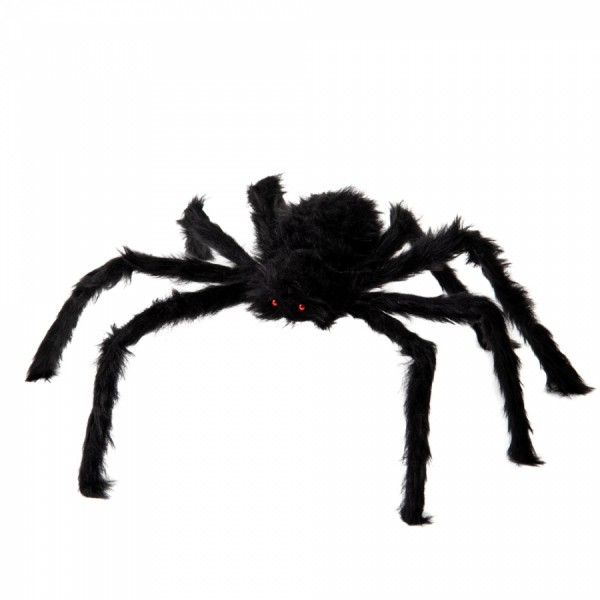 Паук черный  Паук черный