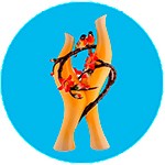 Стильные вазы и корзины Стильные вазы и корзины