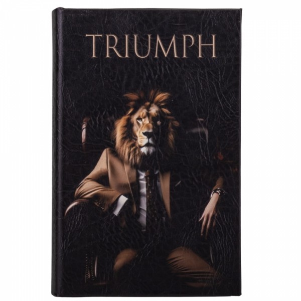 Книга сейф Триумф Книга сейф Триумф