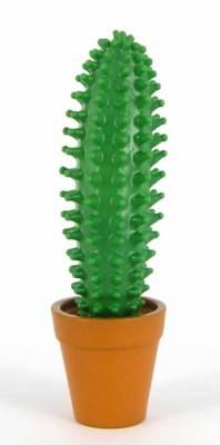 Кактус ручка Кактус ручка