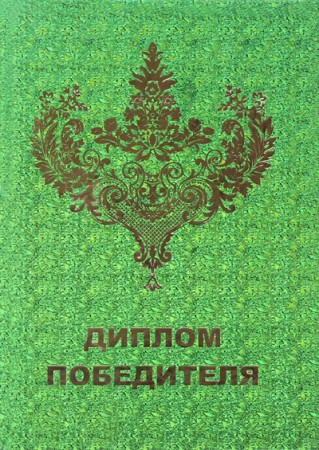 ДГП Диплом - гигант Победителя ДГП Диплом - гигант Победителя