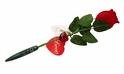 ,  , "I love you"