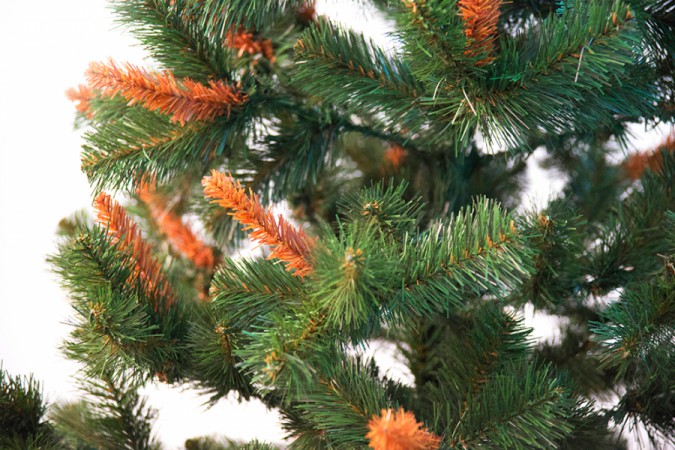 Елка хвойная Лесная красавица с шишками Елка хвойная Лесная красавица с шишками