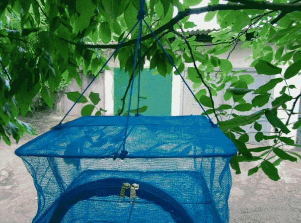 Сушарка для (риби, ягод, грибів) New Line-5 Сушарка для (риби, ягод, грибів) New Line-5