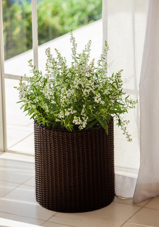 Горщик для квітів Cylinder Planter Small коричневий Горщик для квітів Cylinder Planter Small коричневий