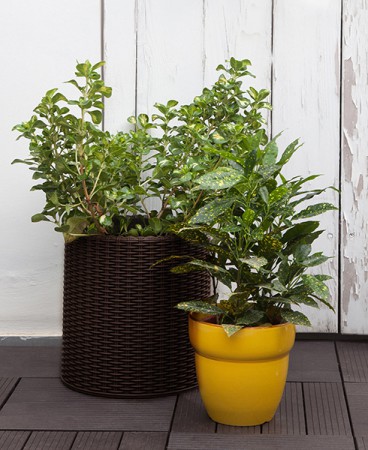 Горщик для квітів Cylinder Planter Small коричневий Горщик для квітів Cylinder Planter Small коричневий