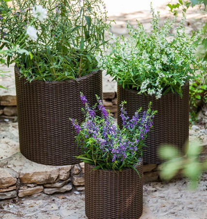 Горщик для квітів Cylinder Planter Small коричневий Горщик для квітів Cylinder Planter Small коричневий