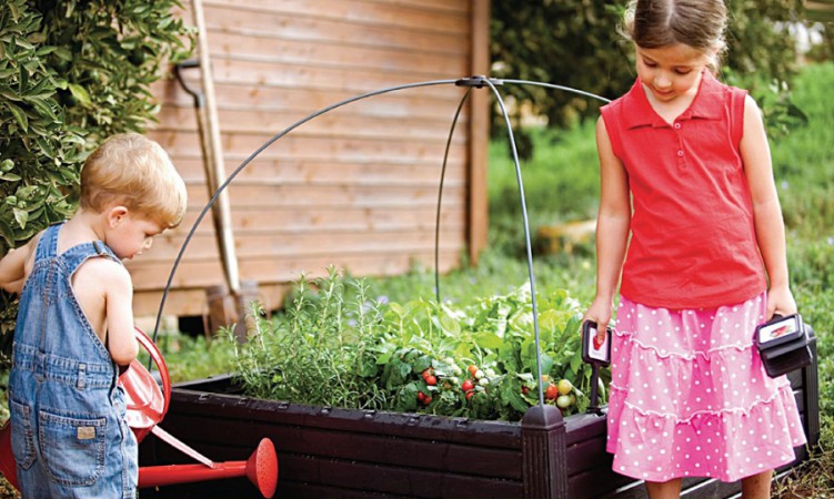 Грядка для рослин Garden Bed Грядка для рослин Garden Bed