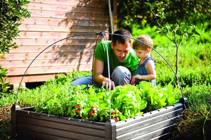 Грядка для рослин Garden Bed Грядка для рослин Garden Bed