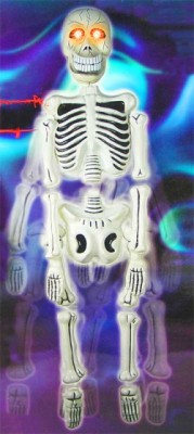 Скелет "Веселый роджер",180 см Скелет "Веселый роджер",180 см