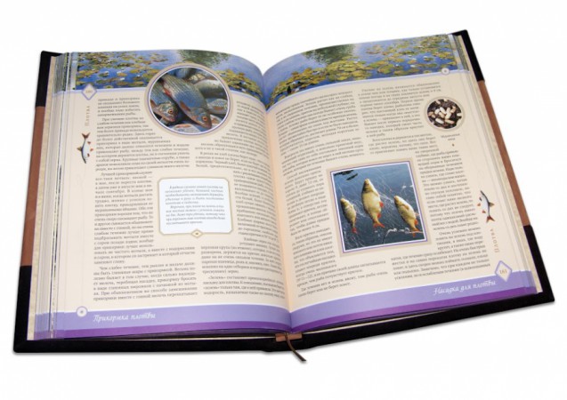 САБАНЕЄВ. ЖИТТЯ І ЛОВЛЯ ПРЕСНОВОДНИХ РИБ (ЗАМША) САБАНЕЄВ. ЖИТТЯ І ЛОВЛЯ ПРЕСНОВОДНИХ РИБ (ЗАМША)