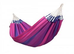 �����   Orquidea Purple ,   200*140 ��