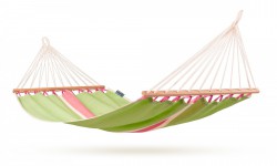     Fruta Kiwi ,    190*110 