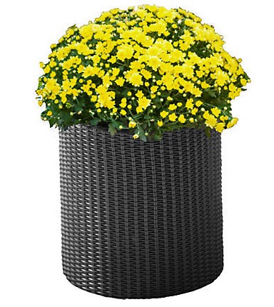    Cylinder Planter Medium, 