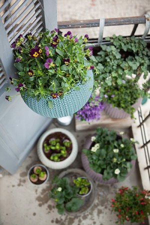 Кашпо 28 см Cozies S з ланцюжком, фіолет Кашпо 28 см Cozies S з ланцюжком, фіолет