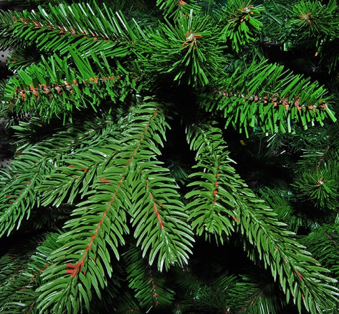 Ель 230 см Sherwood de Luxe Ель 230 см Sherwood de Luxe