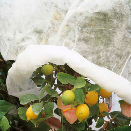 Нетканий захисний матеріал, 2,4x10 м, арт. 6752 Нетканий захисний матеріал, 2,4x10 м, арт. 6752