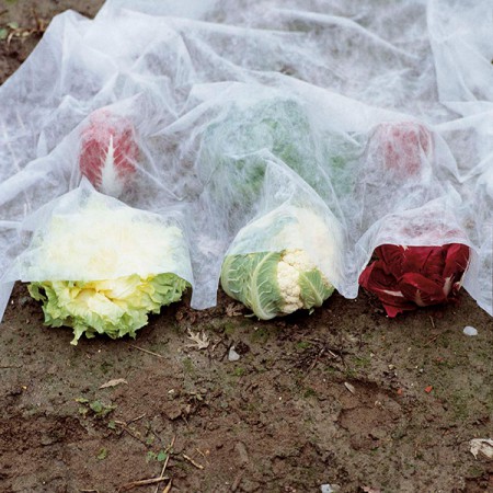 Нетканий захисний матеріал, 2,4x10 м, арт. 6752 Нетканий захисний матеріал, 2,4x10 м, арт. 6752