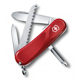 ͳ Victorinox Delemont Junior 09 .
