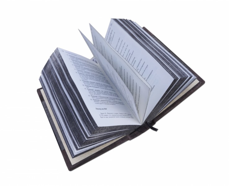 МУДРОСТЬ ЛІДЕРА (GABBIA CAMOSCIO) МУДРОСТЬ ЛІДЕРА (GABBIA CAMOSCIO)