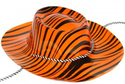 Капелюх Ковбоя пластик з принтом Капелюх Ковбоя пластик з принтом