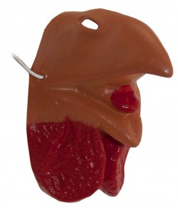 Нос Петуха Нос Петуха