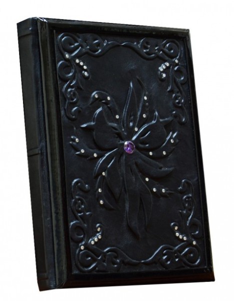 Все про кімнатні рослини Все про кімнатні рослини