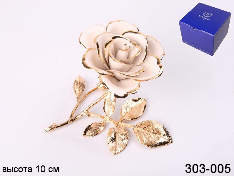 Троянда декоротивна біла Троянда декоротивна біла