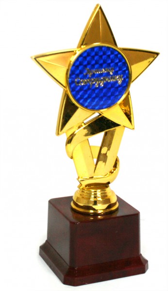 Золота Зірка Найкращому співробітнику Золота Зірка Найкращому співробітнику