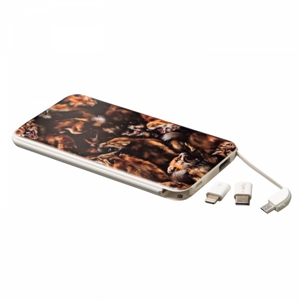 Power Bank "Лисиці" Power Bank "Лисиці"