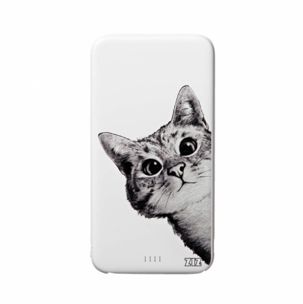 Power Bank " Гей, Кіт! " Power Bank " Гей, Кіт! "