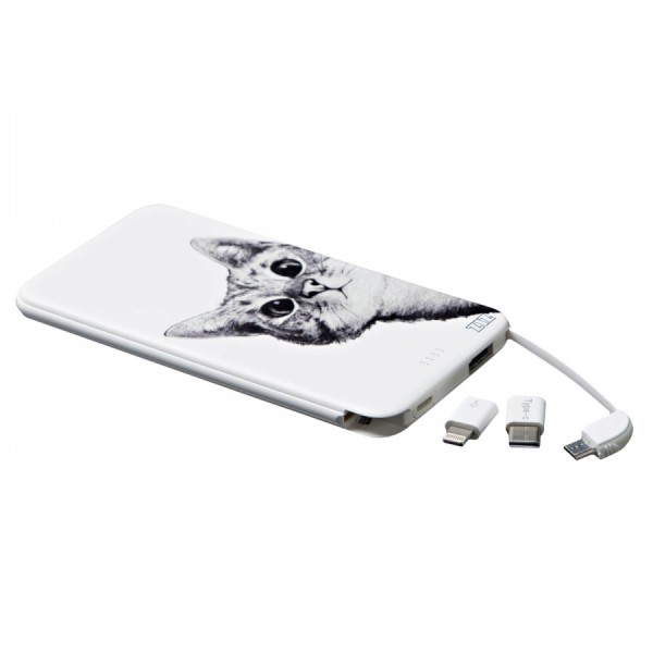 Power Bank " Гей, Кіт! " Power Bank " Гей, Кіт! "