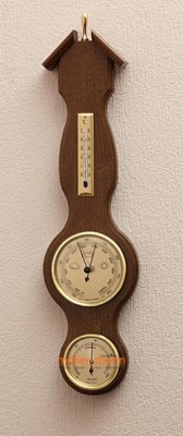  '      Moller 203055