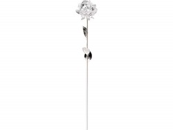 Срібна троянда Срібна троянда