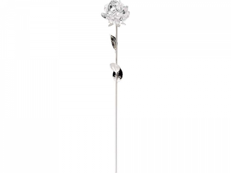 Срібна троянда Срібна троянда