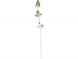 Троянда із золотим бутоном Троянда із золотим бутоном