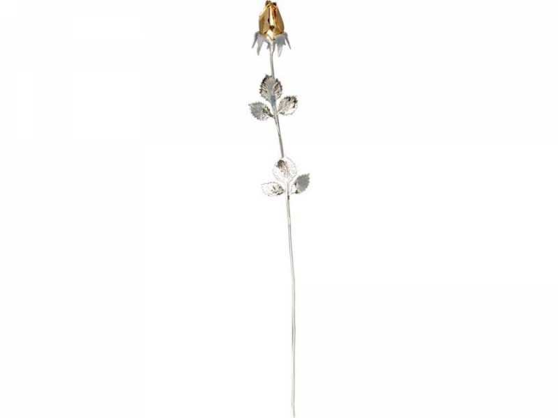 Троянда із золотим бутоном Троянда із золотим бутоном